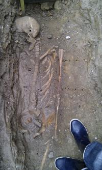 Soil Sampling
