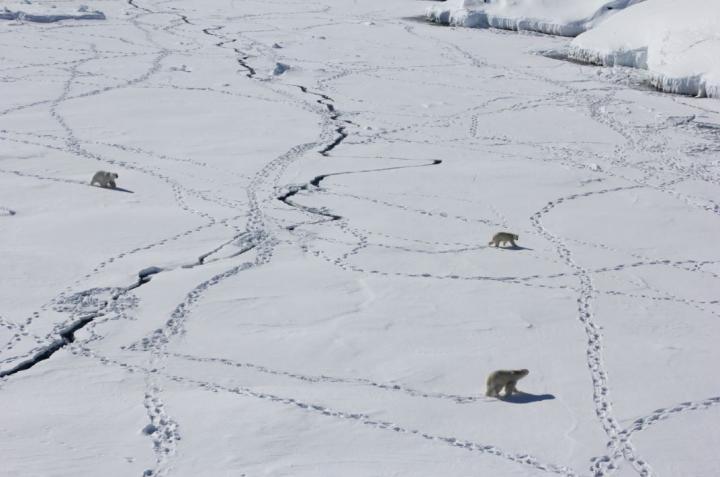 Ice Traverse