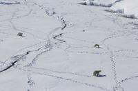 Ice Traverse