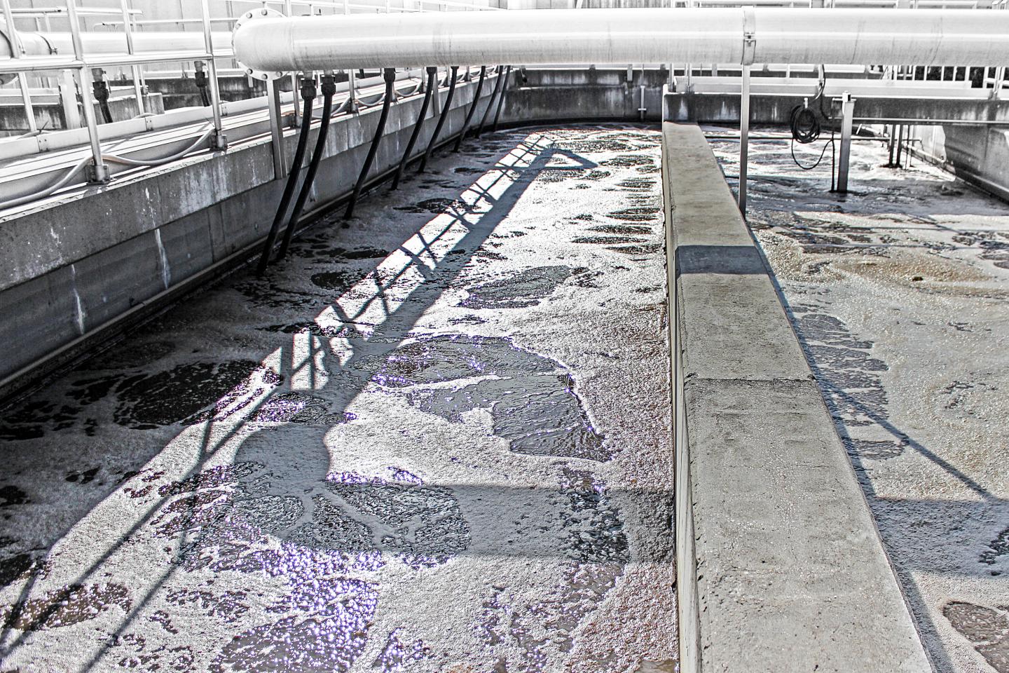 Nitrifying Activated Sludge Tank