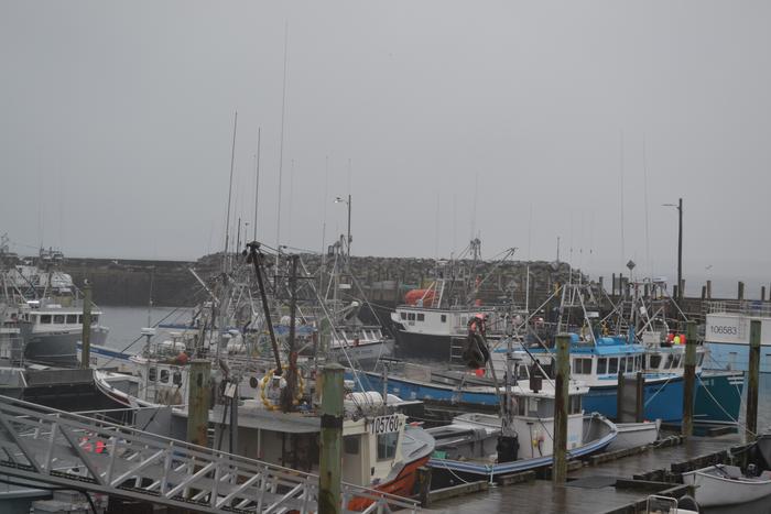 Canadian Fishing Fleet