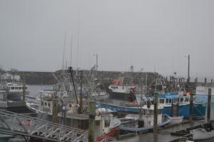 Canadian Fishing Fleet
