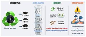 Toxicity and polycyclic aromatic hydrocarbons bioavailability in recycled tire rubber granulate of varying particle sizes