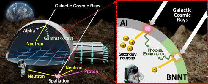 Schematic illustrating the BNNT shielding film with high neutron shielding capability compared to aluminum