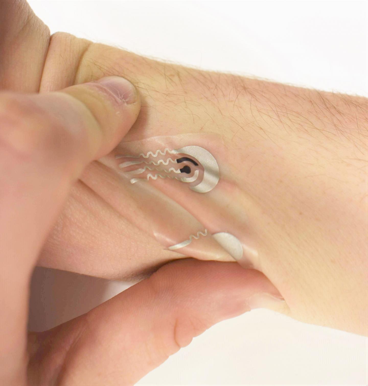 Flexible Sensor