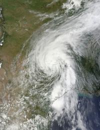 Terra Image of Bill