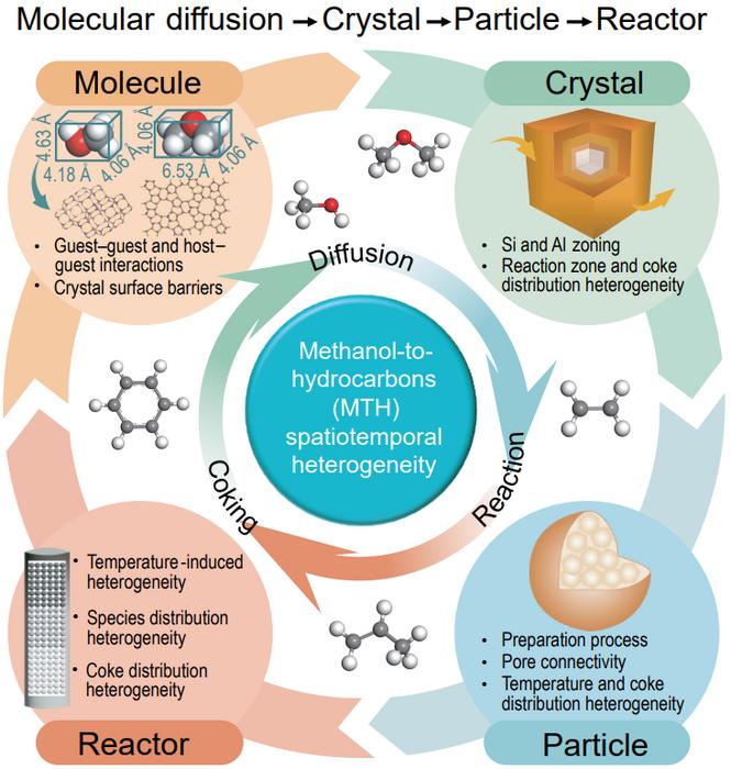 Inside zeolite nano-mazes: why methanol-to-hydrocarbons reactions are nonuniformly