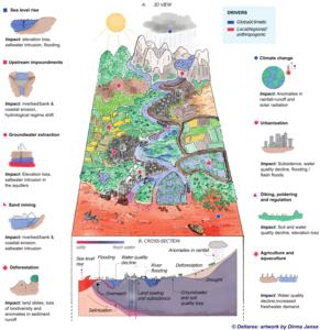 Climatic and anthropogenic drivers of change in the world’s deltas