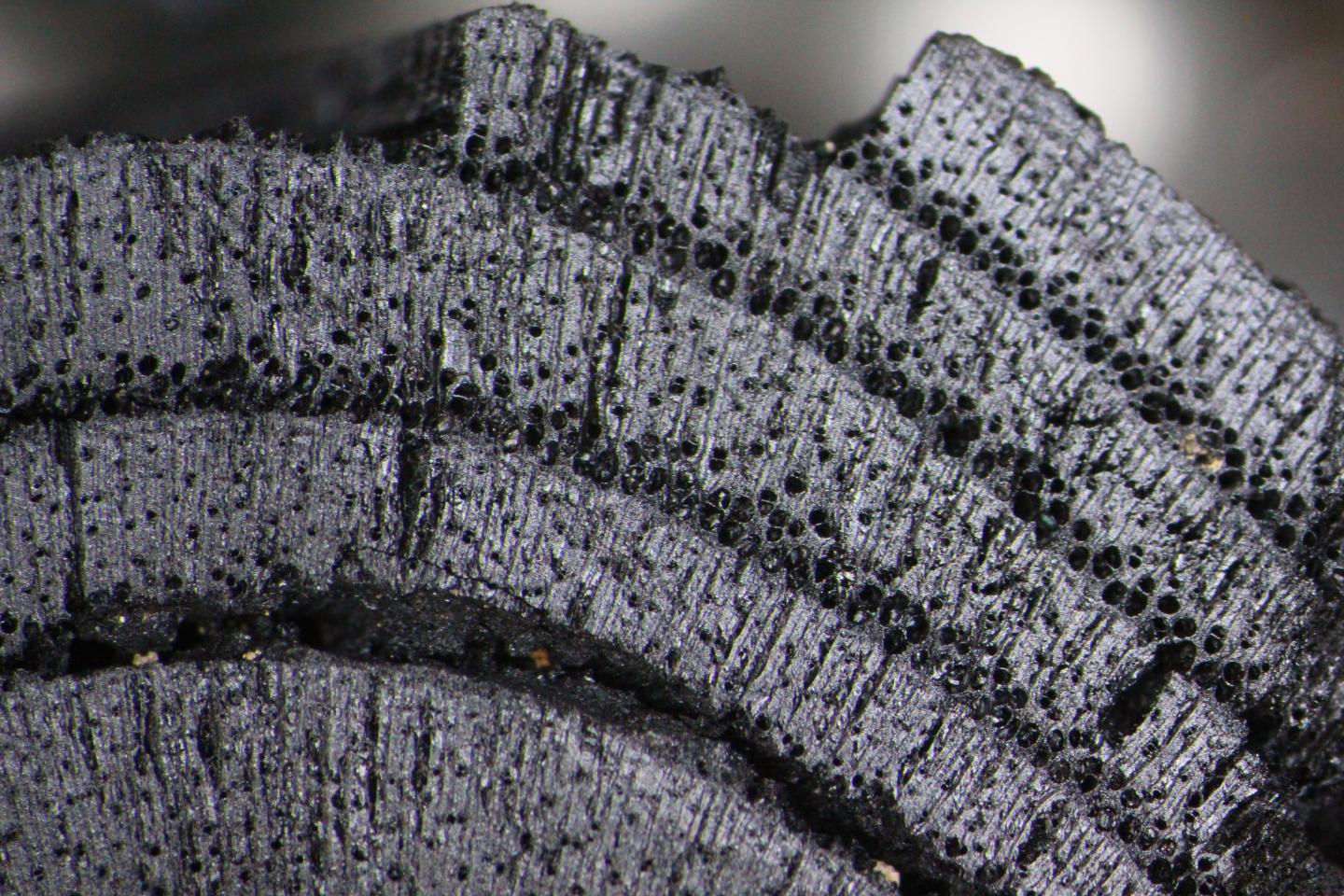 Microscope image of Early Bronze Age ash wood sample from Tell Tayinat in Hatay, Turkey