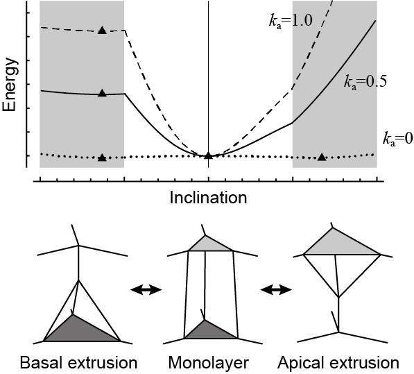 Energy Landscape 