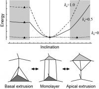 Energy Landscape 