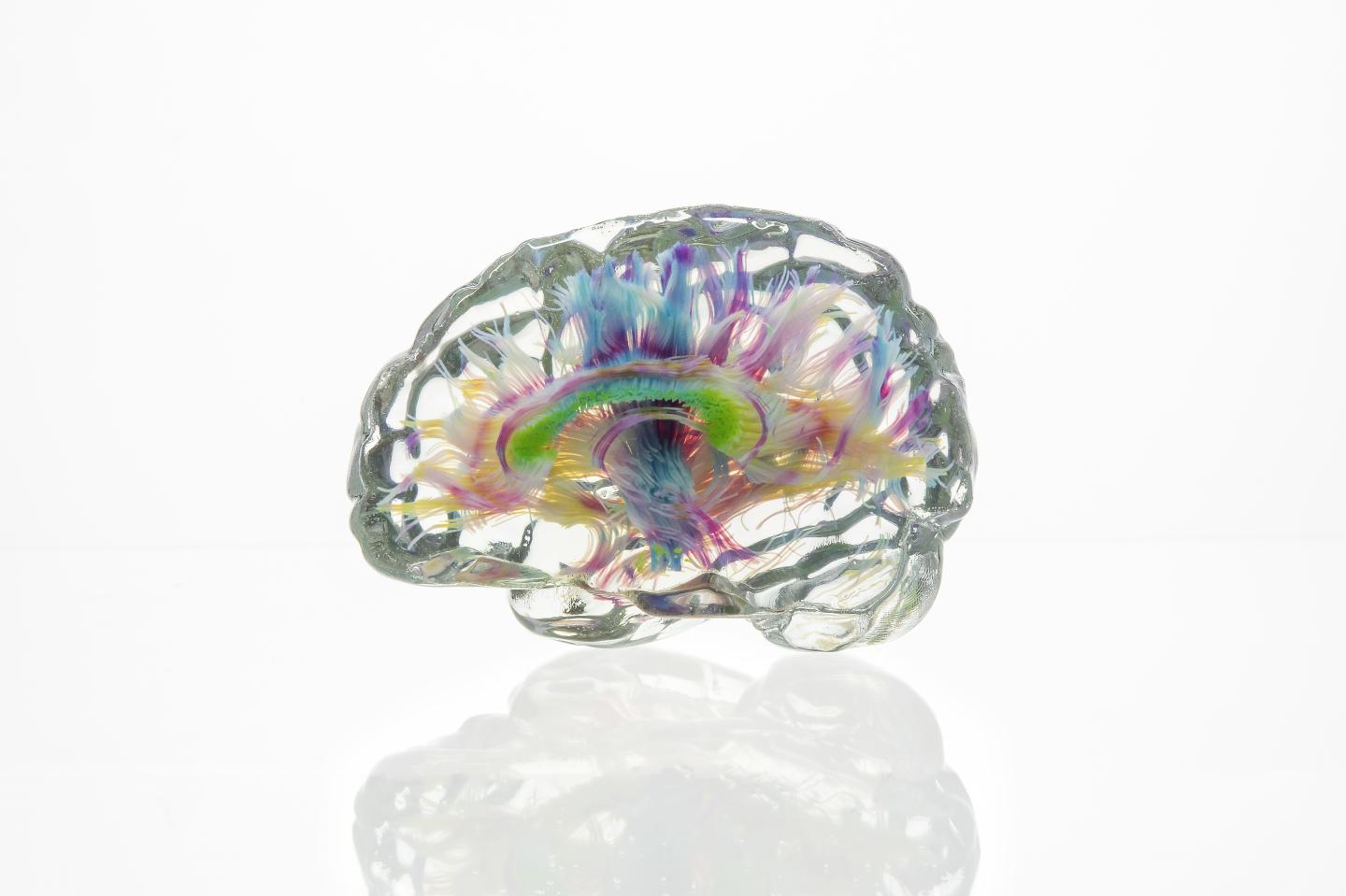 Voxel Printing Brain Neurons