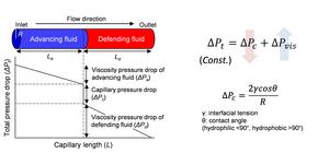 [Figure 2] Composition and analytical model of the pressure drops in capillaries upon immiscible displacement.