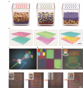 3D phase segregation
