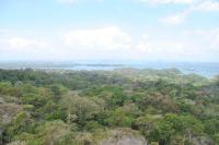 Barro Colorado Forest