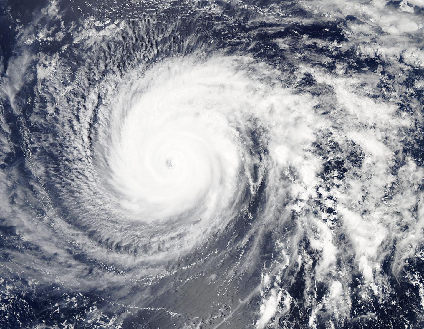 Aqua Image of Jimena