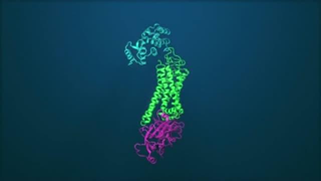 About the Arrestin-Rhodopsin Research at SLAC's X-Ray Laser.
