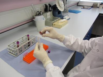 Biobank 1