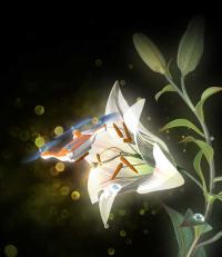 Artificial Pollinator