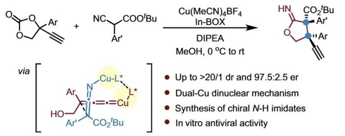 Precise Construction of Chiral Cyclic Imine Esters by Transient Binary Copper Co-catalysis
