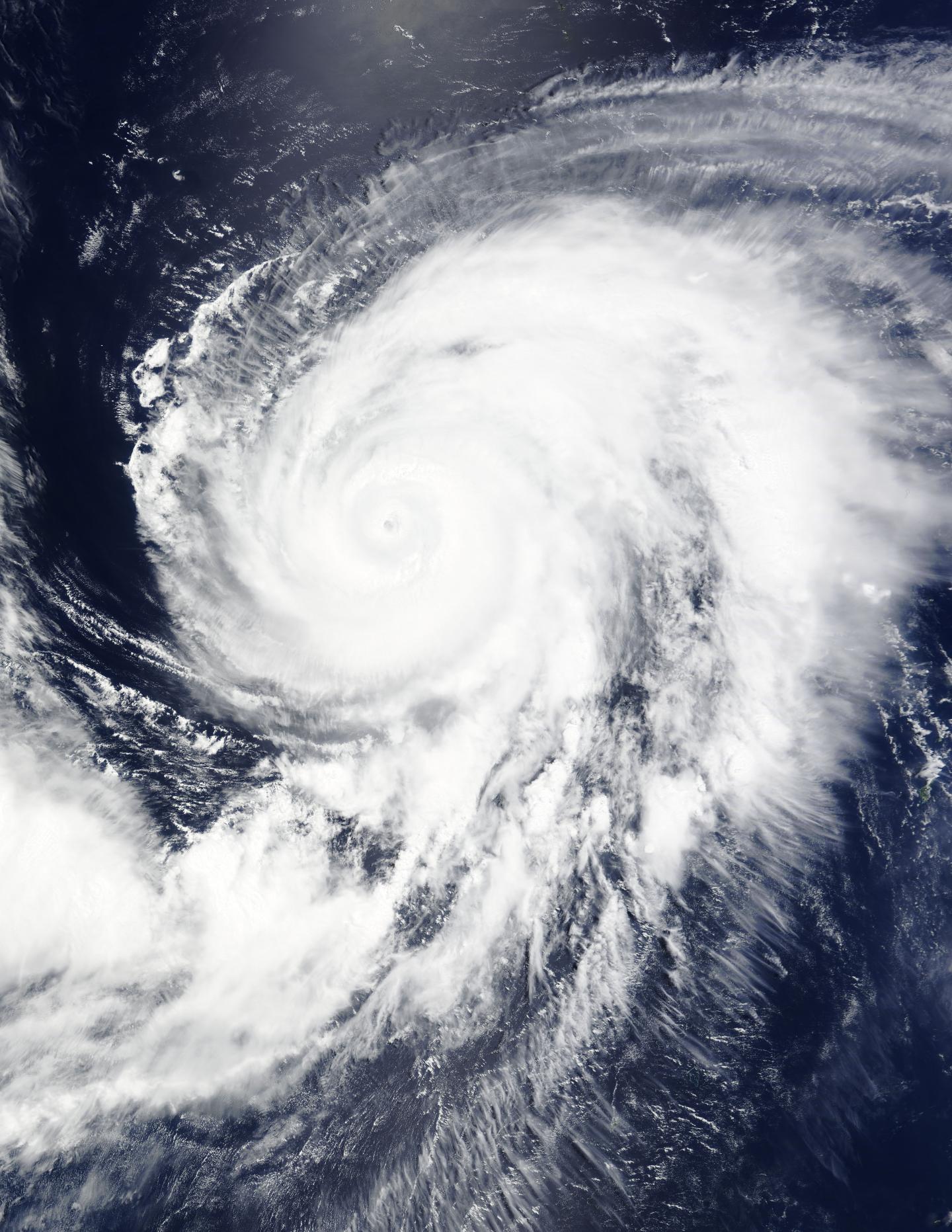 Terra image of Nangka