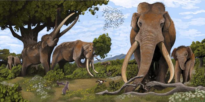 Prehistoric Europe
