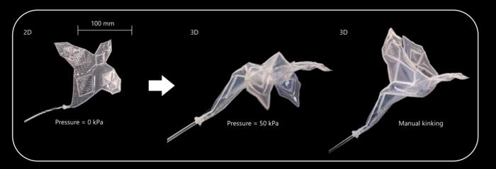 Inflatable crane