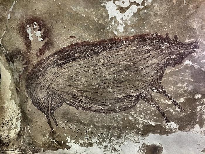 Prehistoric cave painting of two Sulawesi warty pigs, Leang Tedongnge Cave, Sulawesi, Indonesia