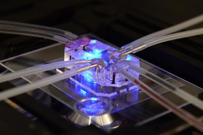 Lung-on-a-Chip