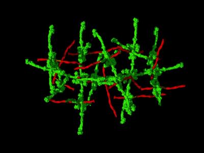 Toxic Structure