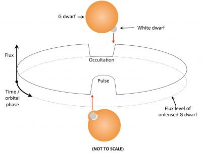 A Star and Its Lens (1 of 2)