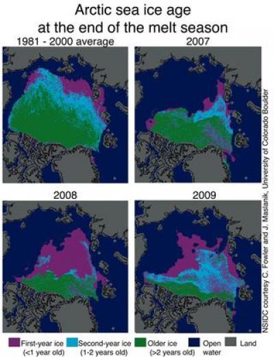 Arctic Sea Ice
