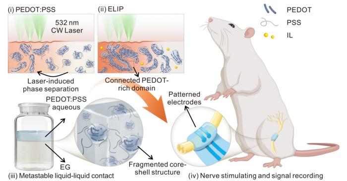 Design strategy for ELIP hydrogels in implantable neural bioelectronics