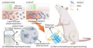 Design strategy for ELIP hydrogels in implantable neural bioelectronics