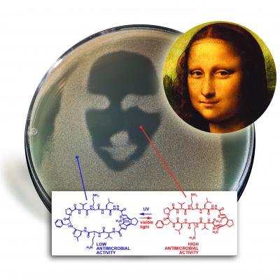 First, An Inactivated Photo-Switchable Antibiotic Was Added to a Bacterial Lawn