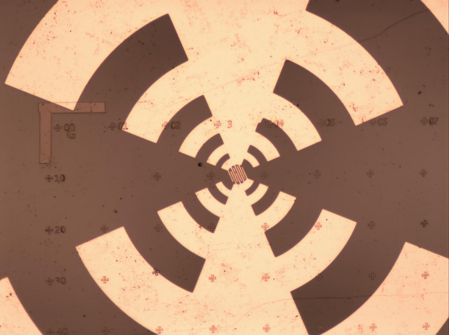 Graphene Detector