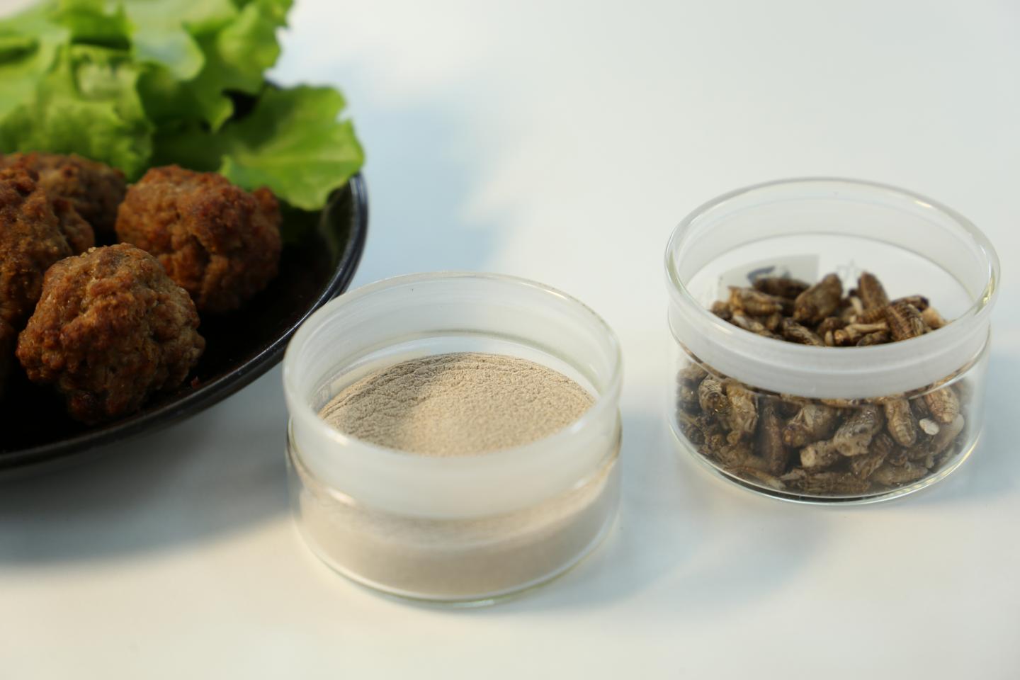 Raw Materials