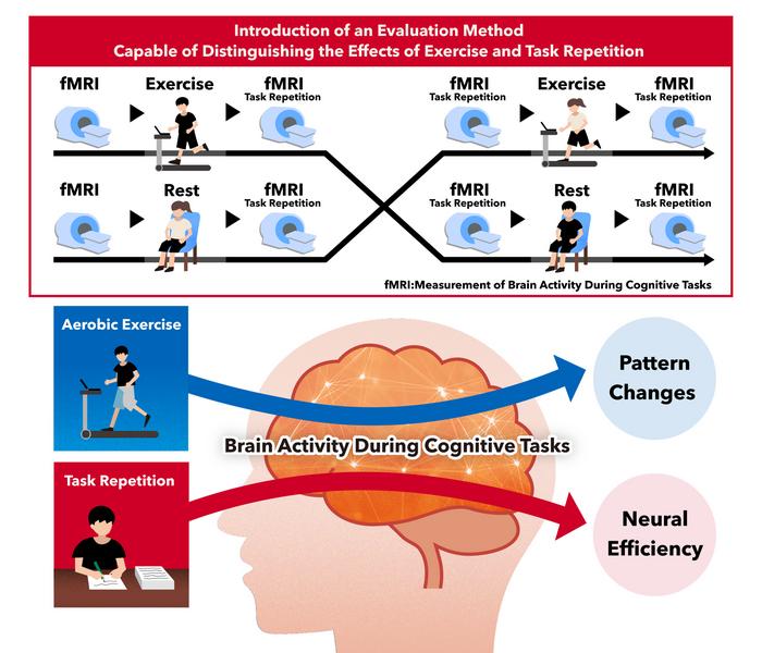 Introduction of an Evaluation Method Capable of Distinguishing the Effects of Exercise and Task Repetition