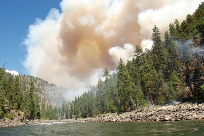 Elkhorn fire
