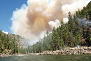 Elkhorn fire