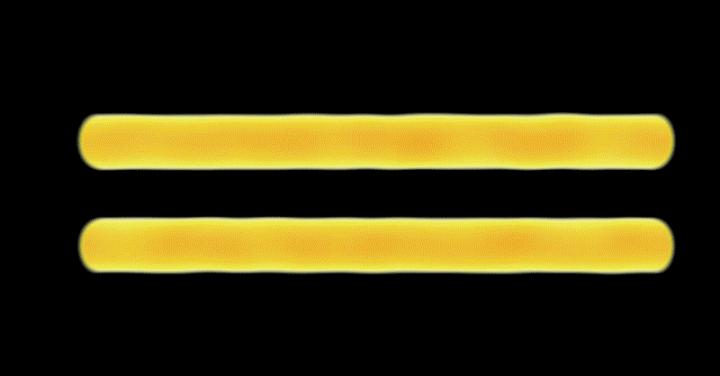 Formation of Filaments Gif