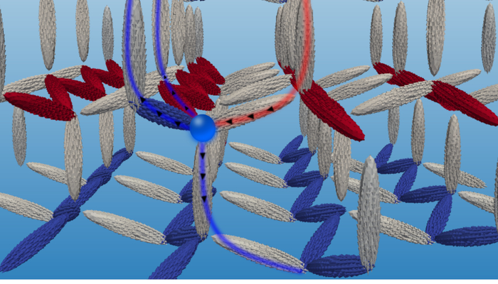 magnetic nanonetwork