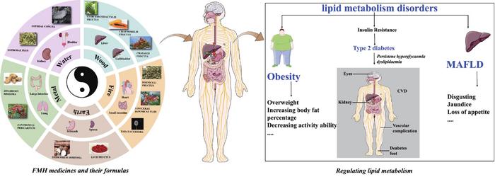 The 5R Principle and the Chemical Pipeline for Food and Medicine Homology