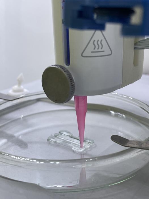 Double network granular elastomers
