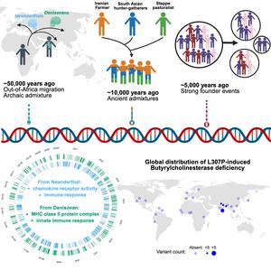 Analysis of Indian genomes