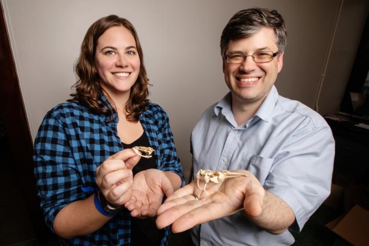 The Researchers