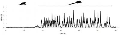 Values of ODBA Measured in a Free-ranging Cane Toad