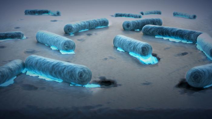 Plastic-munching bacteria found across the seven seas