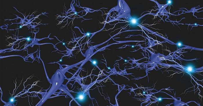 Huntington's Disease