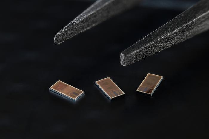 LogSync chips, measuring approximately 4x2 mm. 2026 EPFL / Lundi13 - CC-BY-SA 4.0